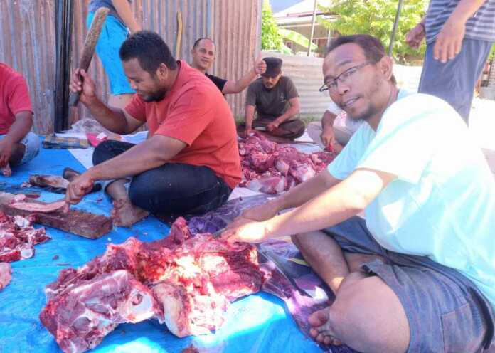 20220709_111321_compress92