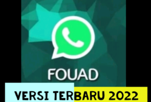 Ragam jenis WhatsApp Mod APK