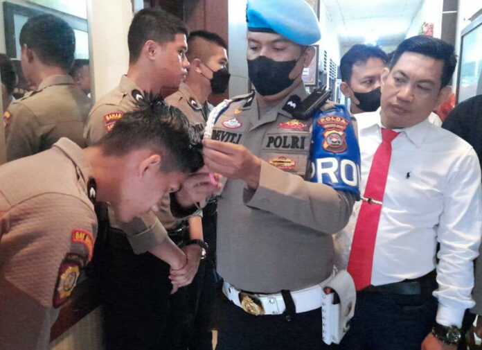 Compress_20221115_120504_4489