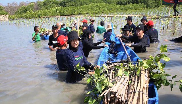 BAKAU mangrove