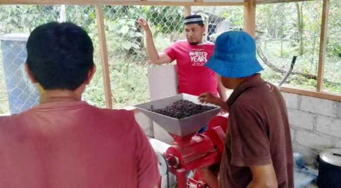 kopi bantjah padang